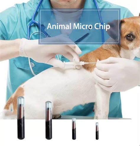 micro rfid tag medical|micro rfid tag for animals.